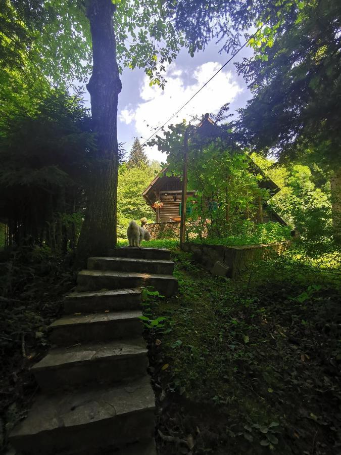 Vila Fani, Kostel - Vacation House Pr' Vili Fani 外观 照片